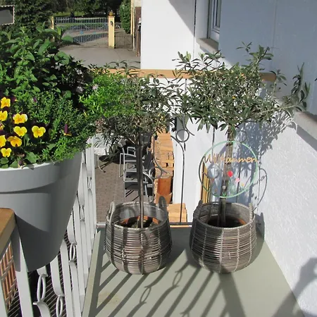 #1Gemuetliches Ruhiges Sonniges Balkonzimmer Mit Gemeinschaftsbad W-Lan Airport Nah Late Night Check In Haus Nr 9,5 Trunkelsberg Exterior foto