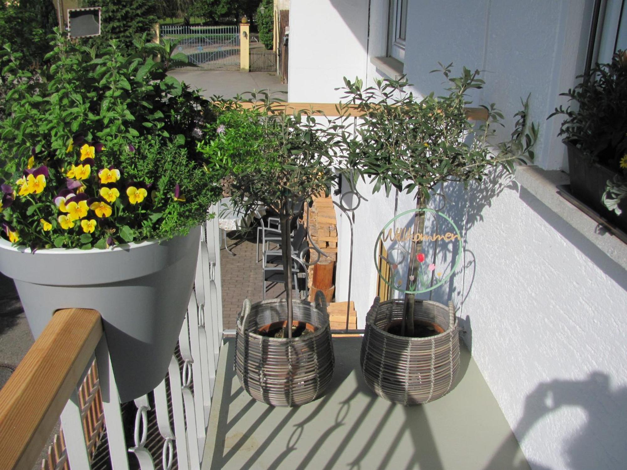#1gemuetliches Ruhiges Sonniges Balkonzimmer Mit Gemeinschaftsbad W-lan Airport Nah Late Night Check In Haus Nr 9,5 Apartment